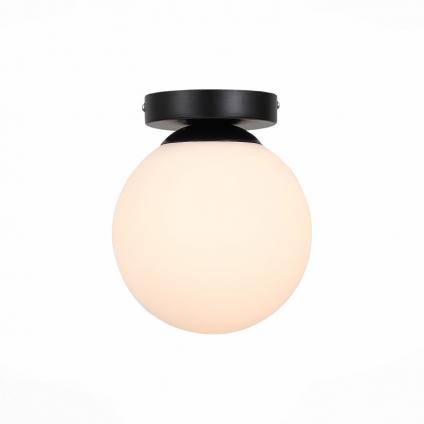 Накладной светильник Evoluce SL717.401.01