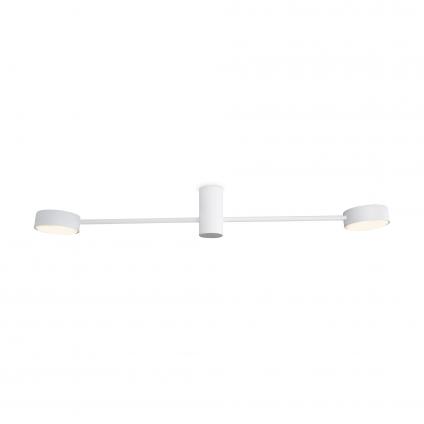 Потолочный светильник Freya FR5363CL-02W1