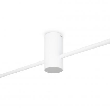 Потолочный светильник Freya FR5363CL-02W1