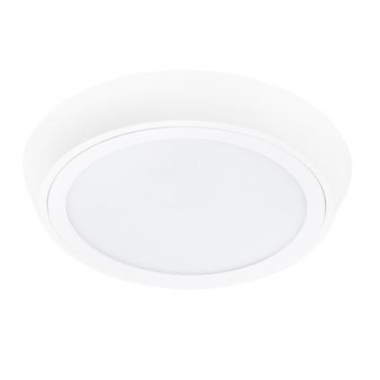 Влагозащищенный светильник Lightstar 216904
