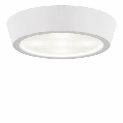 Влагозащищенный светильник Lightstar 214902
