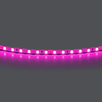Лента Lightstar 420512