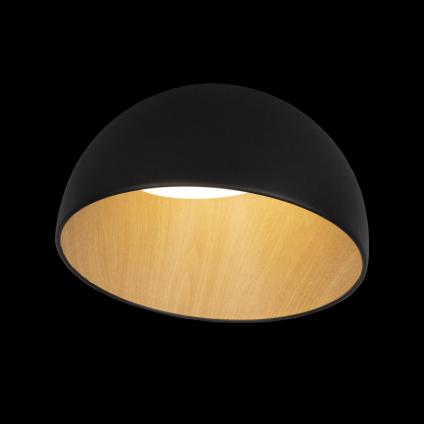Накладной светильник LOFT IT 10197/350 Black