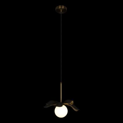 Подвесной светильник LOFT IT 10213/A Black