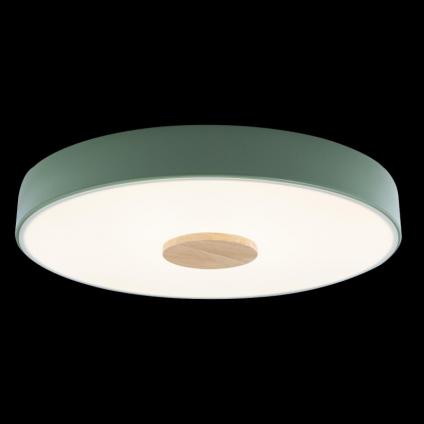Детский светильник LOFT IT 10003/24 Green