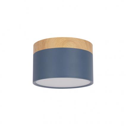 Детский точечный светильник LOFT IT 10162 Blue