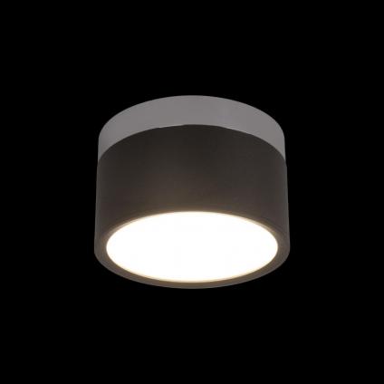 Накладной светильник LOFT IT 10179/12 Black