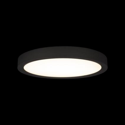 Накладной светильник LOFT IT 10227/24 Black