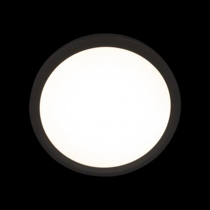 Накладной светильник LOFT IT 10227/24 Black
