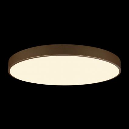 Накладной светильник LOFT IT 10228/B
