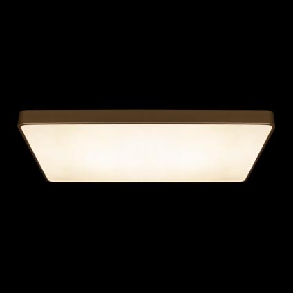 Накладной светильник LOFT IT 10228/E