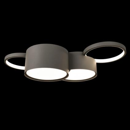 Накладной светильник LOFT IT 10317/4 Grey