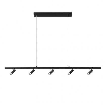 Подвесной светильник LOFT IT 10260/5 Black