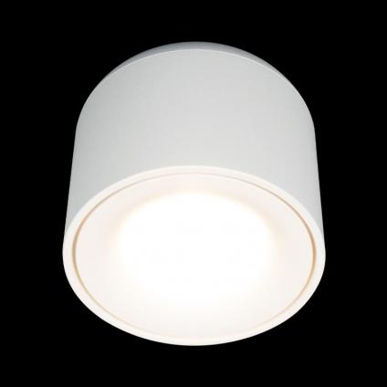 Накладной светильник LOFT IT 10219 White 3000K