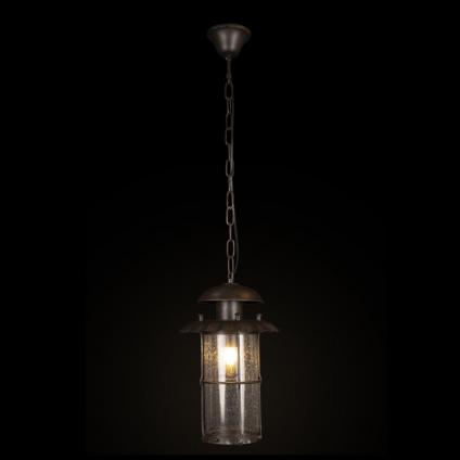 Подвесной уличный светильник LOFT IT 100015P
