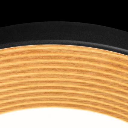 Накладной светильник LOFT IT 10255/500 Black