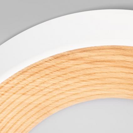 Накладной светильник LOFT IT 10255/350 White