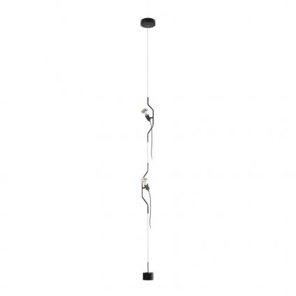Подвесной светильник LOFT IT 10346/2 Black