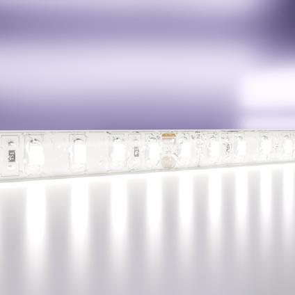 Светодиодная лента 24В 2835 9,6Вт/м 6000K 5м IP65