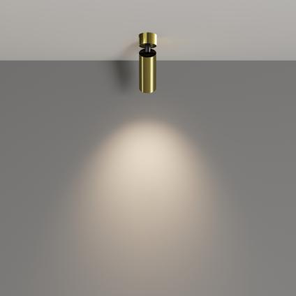 Потолочный светильник Фокус / FOCUS LED 12 Вт 4000 К 50°