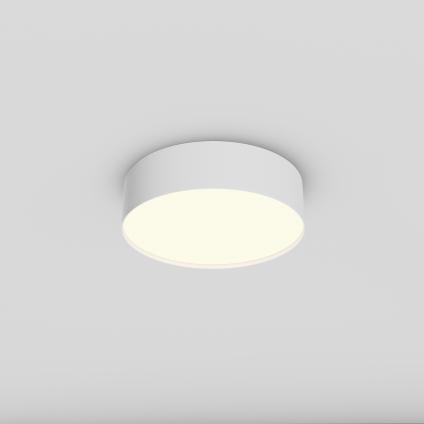 Потолочный светильник Зон / Zon 24 Вт 3000 К 120°