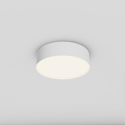 Потолочный светильник Зон / Zon 24 Вт 4000 К 120°