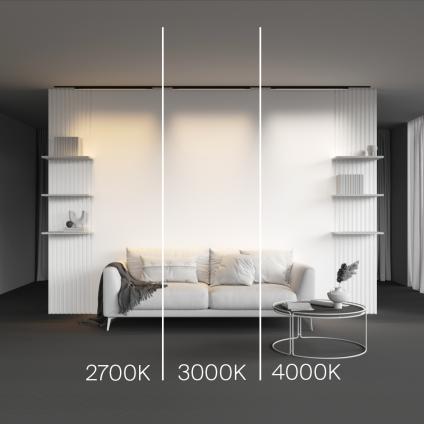 Трековый светильник Базис / Basis Levity 4000К 21Вт 100°