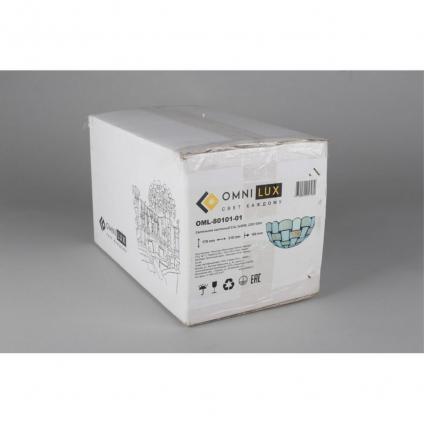 OML-80101-01