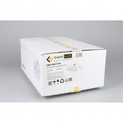 OML-65017-06