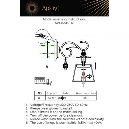 APL.620.01.01