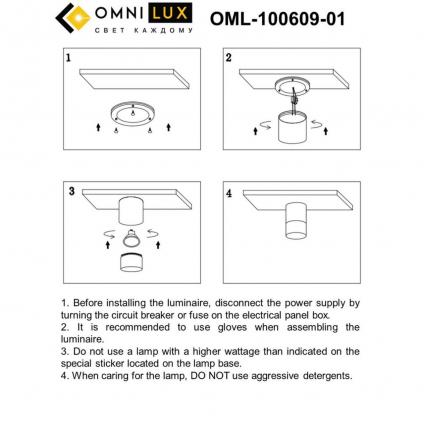 OML-100609-01