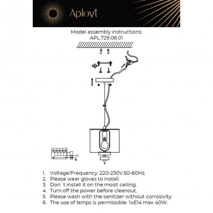 APL.729.06.01