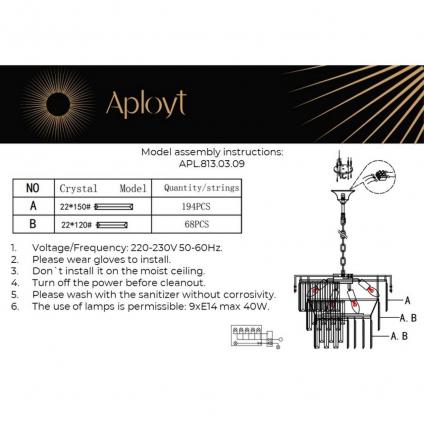 APL.813.03.09