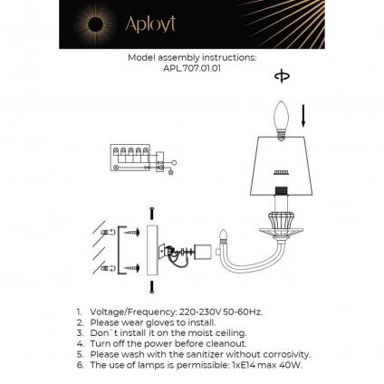 APL.707.01.01