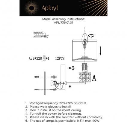 APL.736.01.01