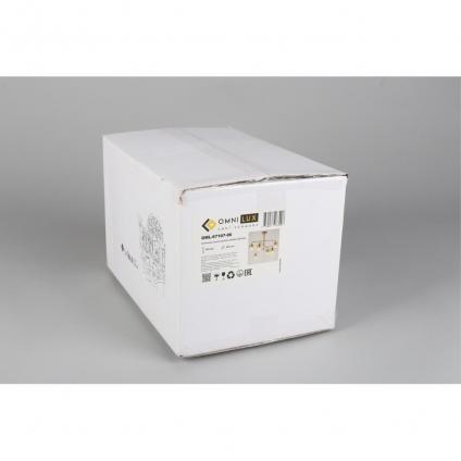 OML-67107-06