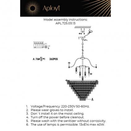 APL.725.03.13