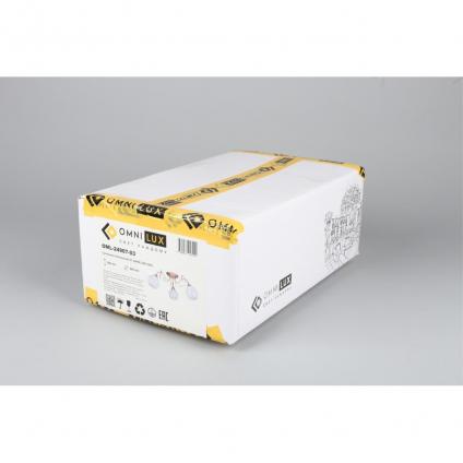 OML-24907-03