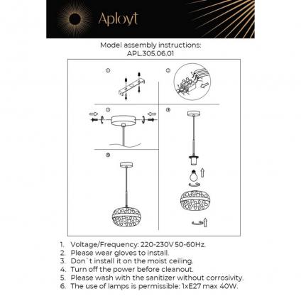 APL.305.06.01