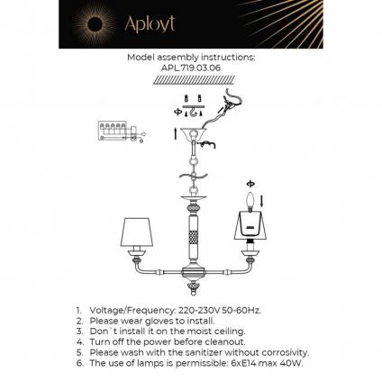 APL.719.03.06