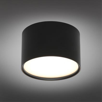 OML-103319-06