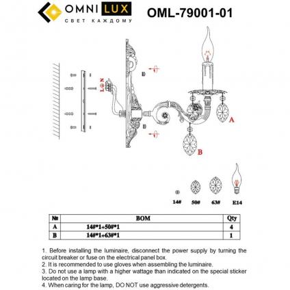 OML-79001-01