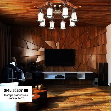 OML-50307-08