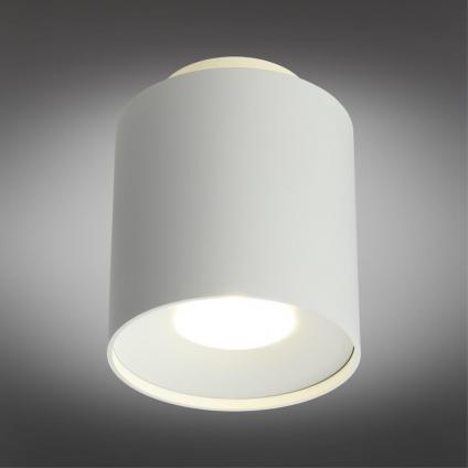 OML-100309-16