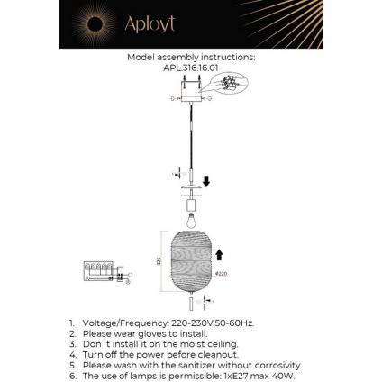 APL.316.16.01