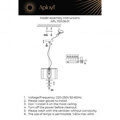 APL.703.06.01