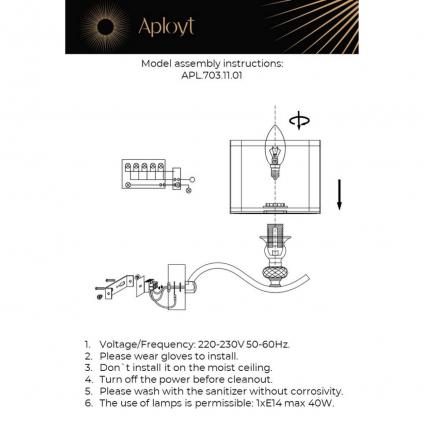 APL.703.11.01
