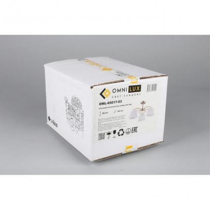 OML-65017-03