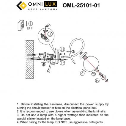 OML-25101-01