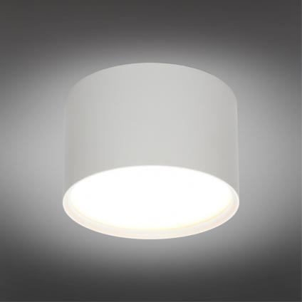 OML-103309-06